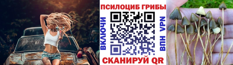 ОМГ ОМГ ССЫЛКА  цена наркотик  нарко площадка официальный сайт  Псилоцибиновые грибы ЛСД  Светлогорск 